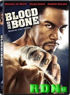 Кровь и кость / Blood and Bone (2009) DVDRip