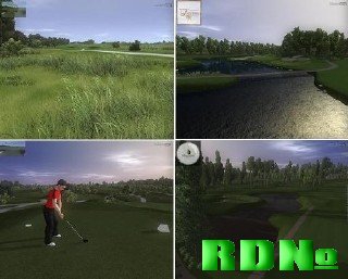 CustomPlay Golf 2010 (2010/RUS/Repack)