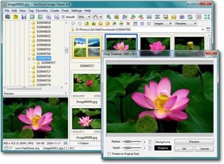 FastStone Image Viewer 4.0 + portable