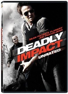Смертельный удар / Deadly Impact  (2009) DVDRip