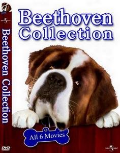 Бетховен Антология / Beethoven Anthology (1992 - 2008/DVDRip)