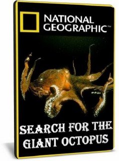 В Поисках Гигантского Осьминога / Search for the Giant Octopus (2009) SATRip