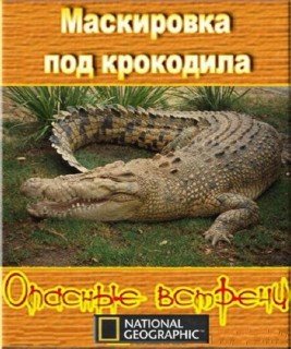 Опасные встречи: Маскировка под крокодила / Undercover Croc (2007) TVRip