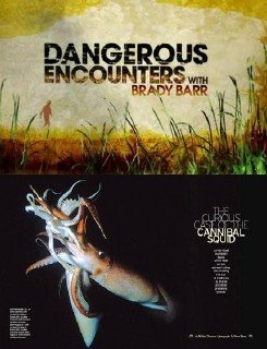 Опасные встречи: Кальмар каннибал / Dangerous Encounters: Cannibal Squid (2009) SatRip