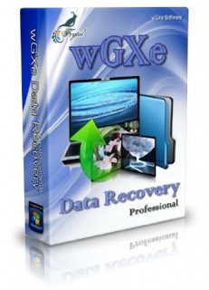 wGXe Data Recovery Professional 1.0.0.0