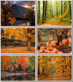 Осень - желтые деревья и падающая листва