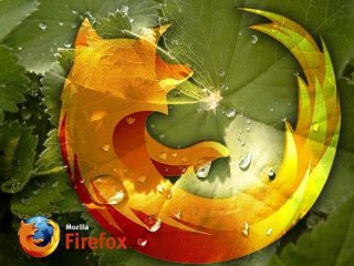 Mozilla FireFox 3.6.14
