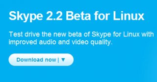 Skype 2.2 beta for Linux