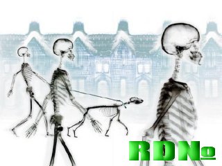 X-Ray Wallpapers (2009)
